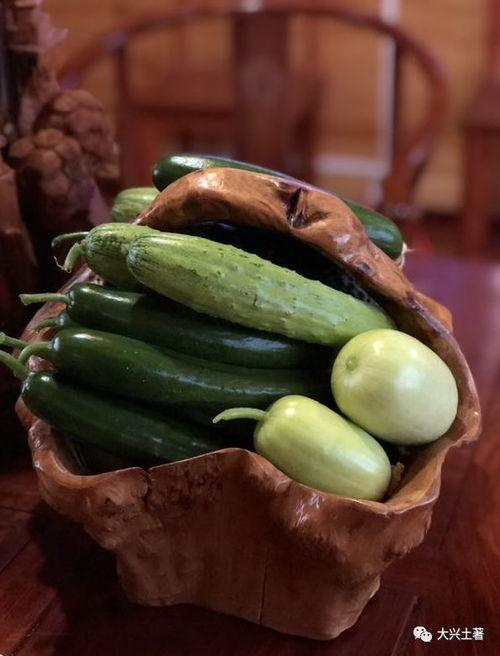 康县网红直播吃瓜,带你领略乡村美食魅力